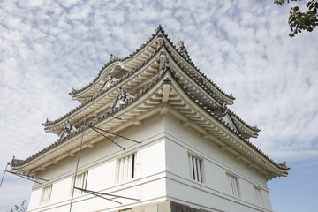 Fototapeta na wymiar Uwajima castle
