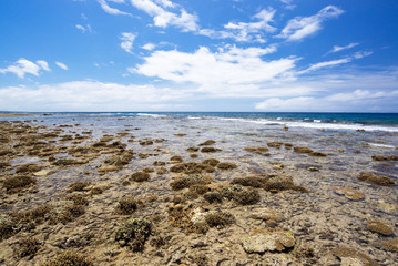 沖縄の海
