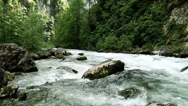 Rapid mountain river. Beautiful landscape with the mountain river.  Fast flowing, clean river, fast flowing, mountain stream, wildlife, rivers of the Caucasus. 