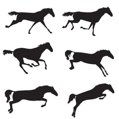 Collection of silhouettes horses