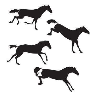 Collection of silhouettes horses