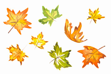 Fototapeta premium Watercolor hand drawn fall leaves set