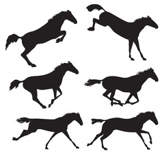 Set of black horses