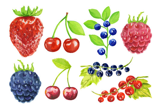 Watercolor berries set on white background. Fresh healthy set of different kind of berries as strawberry, blackberry, cherry and more.