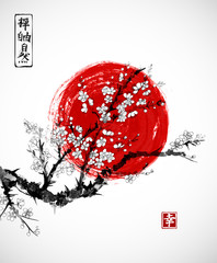 Sakura in blossom and red sun, symbol of Japan on white background. Contains hieroglyphs - zen, freedom, nature, happiness. Traditional Japanese ink painting sumi-e. © elinacious