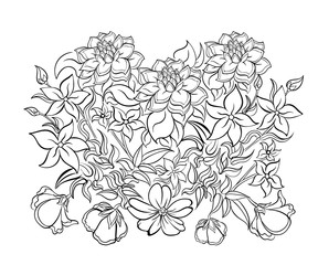 Hand drawn ink pattern. Coloring book for adult