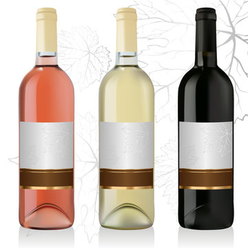 Set of white, rose, and red wine bottles with labels isolated on white background