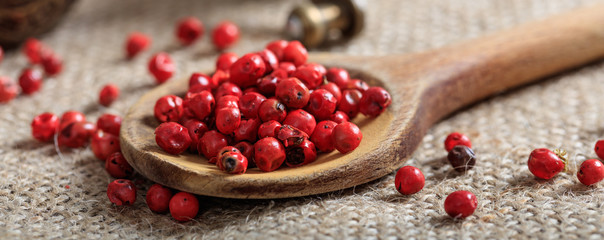 Red pepper seeds in a spoon