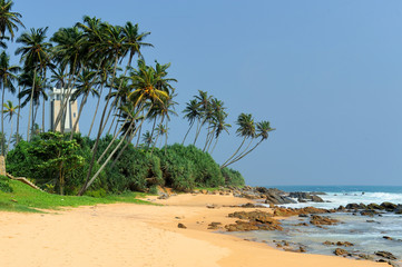 Tropical beach