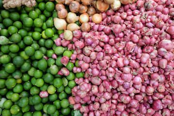fresh vegetable