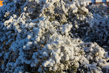 snowy landscape with blue sky and white clouds