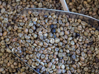 coff beans in Philippines