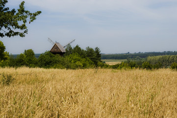Wiatrak w dolinie Wisły