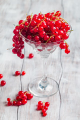 red currants in a glass 