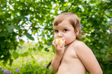little boy eats an apple in a garden