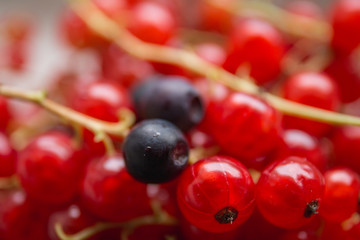 a combination of black and red berries (blackberries and red cur