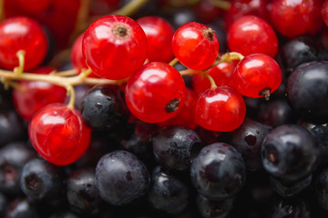 a combination of black and red berries (blackberries and red cur