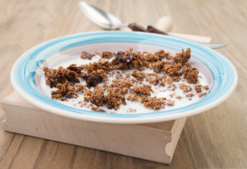 bowl of cereal with milk and chocolate