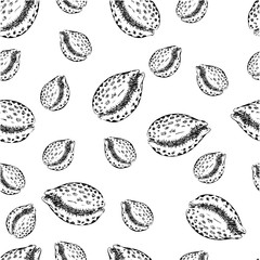 Seamless pattern with seashells. Hand drawn vector illustration.