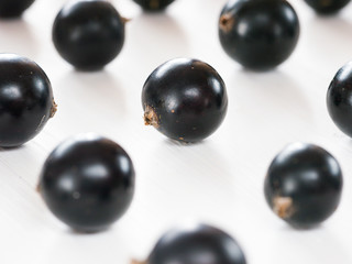 Black currant close up