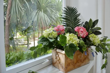 Crédence de cuisine en verre imprimé Hortensia Hortensia de plante d& 39 intérieur et feuilles vertes dans un pot sur le rebord de la fenêtre