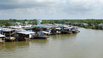 Fototapeta na wymiar residential among Ca Mau mangrove forest