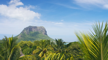 Mountain Le Morne Brabant and palm trees on foreground. Mauritius island.   