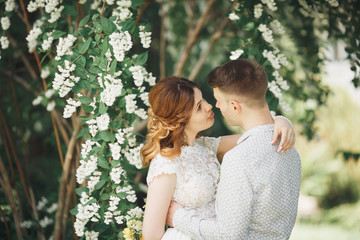 Fototapeta premium Romantic, fairytale, happy newlywed couple hugging and kissing in a park, trees in background