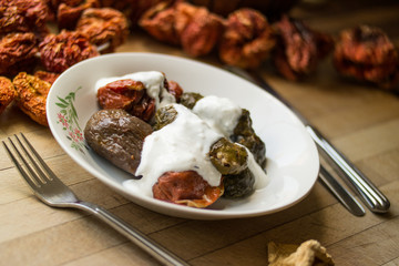 Turkish Dolma with yoghurt.