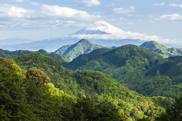 葛城山から見る富士山
