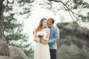 Gorgeous bride, groom kissing and hugging near the cliffs with stunning views