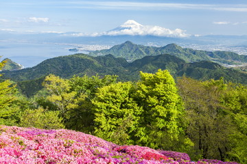 春の葛城山から見る富士山