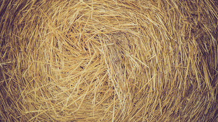 STRAW HAY