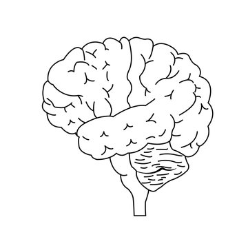 Isolated brain side view. Illustration of human brain for medical design, study or concept for logo design. Easy recolor.