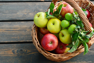 3 Different kinds of apples and the tasty benefits of each.
colorful and various kinds of apples in the basket on wooden background.