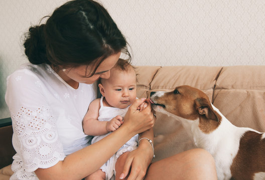 Young mother with her cute baby playing with jack russel terrier dog.