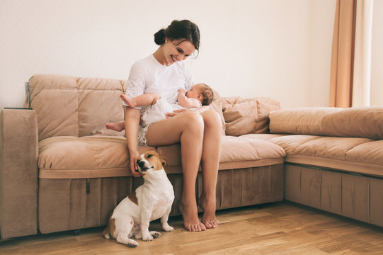 Young mother nursing her cute baby. Jack russel terrier dog sits near.