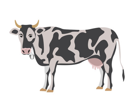 Milk cow on white background, vector illustration