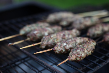 kebab on a skewer