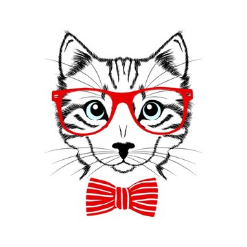 Hipster cat with red glasses