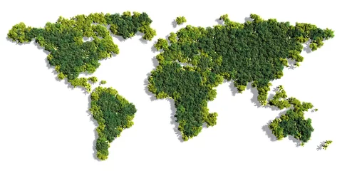 Deurstickers World Map made of green trees © JohanSwanepoel