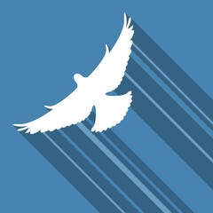 Vector bird fly, flat design