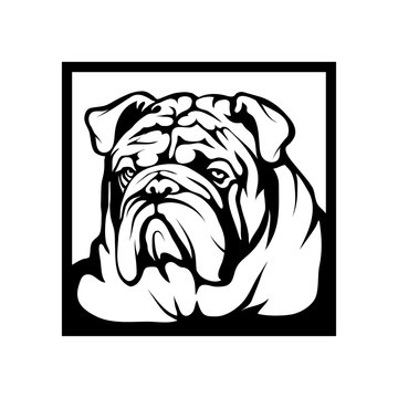 bulldog logo