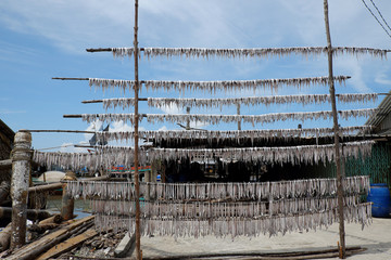 Dried fish Ca Mau fishing village