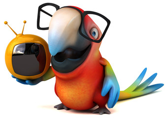 Fun parrot