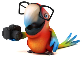 Fun parrot