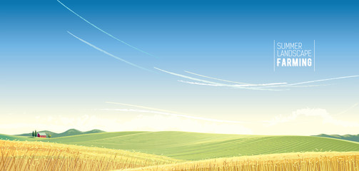 Rural landscape with wheat and house, is created for use as a background image. © Rustic