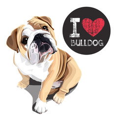 I Love Bulldog