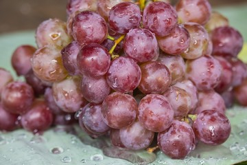 Bunch of red grapes , fresh with water drops isolated on banana leaf background , Close up , Low key photo natural light , Focus sharp specific point