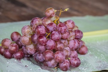Bunch of red grapes , fresh with water drops isolated on banana leaf background , Close up , Low key photo natural light , Focus sharp specific point